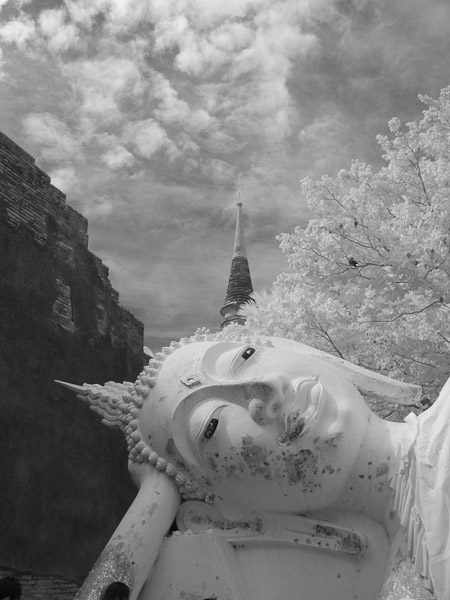 Thailand_OctNovDec_2010_Ayutthaya_Infrared_2652 - Copy (2).jpg